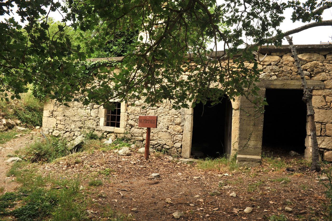Villa Axenti Ájosz Thomász Kültér fotó